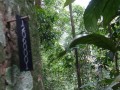 Tn 0952 DSC00127